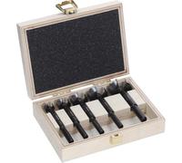Bosch 5X Expert Wood Forstner Drill Bit Set (for Softwood, Hardwood, Ø 15,0, 20,0, 25,0, 30,0, 35,0 mm, Professional Accessory Drill, Driver)