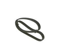Bosch 6DPK1195 - Ribbed V-belt - 1987946200