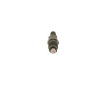 BOSCH 9 430 610 179 Nozzle and Holder Assembly