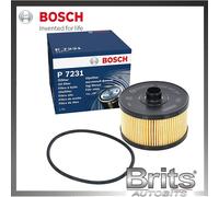 Bosch Car Oil Filter P7231 - F026407231