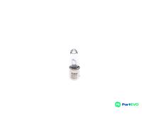 Bosch Truck/Lt 24V H21W BAY9S TBLB433E - 1987302533