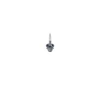 Bosch Bulb, headlight, ECO HID WS (D2R)