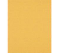 Bosch Expert C470 Best for Wood and Paint Unpunched Sanding Sheet 230mm x 280mm 120g Pack of 1
