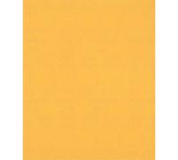 Bosch Expert C470 Best for Wood and Paint Unpunched Sanding Sheet