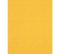 Bosch Expert C470 Best for Wood and Paint Unpunched Sanding Sheet 230mm x 280mm 240g Pack of 1