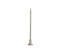 BOSCH F 00R J01 819 Injector Nozzle