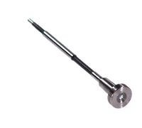 BOSCH F 00R J02 466 Injector Nozzle