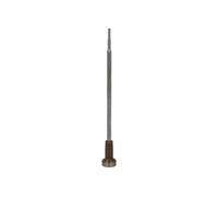 BOSCH F 00V C01 364 Injector Nozzle
