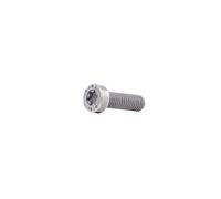 Bosch F00N202191 Torx SH Cap Screw