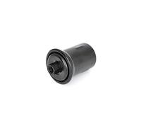 Bosch F3757 Car Gasoline Filter - Replacement Filter