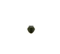Bosch Fuel High-Pressure Sensor 0281006187 Fits Renault - Genuine OEM Quality