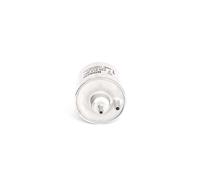 BOSCH Gasoline Injection Fuel In-Line Filter 0450915001 F 5001 - Superb Value