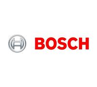 BOSCH 0 281 003 039 Control Unit, Glow Time, White