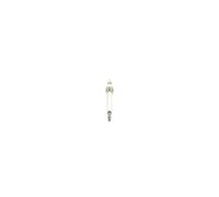 BOSCH Glow Plugs (0250212008)