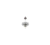 BOSCH Headlight Bulb Fits ABARTH ALFA ROMEO AUDI BMW CHEVROLET 68-17 1987301410