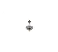 Bosch Automotive Bulb 1987301410