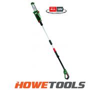 Bosch 06008B3101 Black, Green