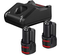 Bosch Power Tool Battery and Charger 12 V 1600A019RE