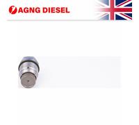 Bosch Pressure Limiting Valve 1110010028