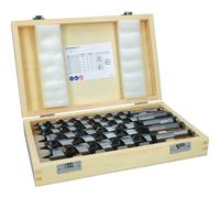 Bosch Professional Wood Auger Bit Set L235 6 pcs 2607019322