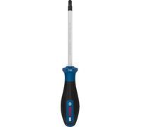 Bosch Pro Hand Tool - Screwdriver Pro Screwdriver Tx40 X 125 mm 1600A039Sf
