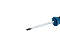 Bosch Professional Tx 25x100 mm Torx screwdriver
