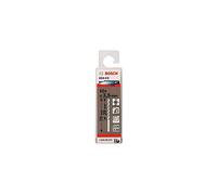 Bosch Professional 10pc. HSS-Co Metal Drill Bit (stainless steel, 3.5 x 39 x 70 mm, accessory drill driver)