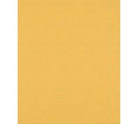 Bosch EXPERT C470 Best for Wood and Paint Unpunched Sanding Sheet 230mm x 280mm 120g Pack of 1