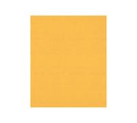 Bosch EXPERT C470 Best for Wood and Paint Unpunched Sanding Sheet