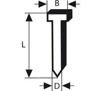 Bosch Professional 2000x Finish Nails SK64 20NR (1.6/16 g 20°, 2.8x1.35x63 mm, Stainless Steel, Accessories for Nail Guns)