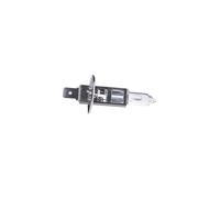 Bosch Standard 1987 302 011 BLB448 Headlight Bulbs x2 Halogen H1 55W 12V 448