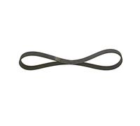 Multi-ribbed V-belt 1 987 948 342 BOSCH for FORD PEUGEOT CITROËN FIAT MAZDA MINI