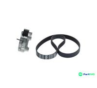 BOSCH 1 987 600 700 V-Ribbed Belt Set