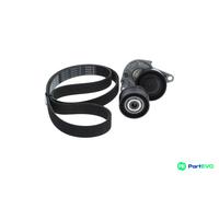 VRIBBED BELT SET 1 987 600 714 FOR RENAULT TRAFIC/III/Platform/Chassis/Van/Bus