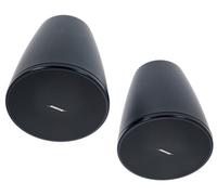 Bose Professional DesignMax DM5P black