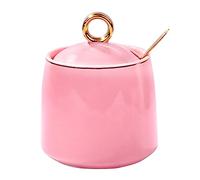 BOSILI Ceramic Sugar Bowls with Lid and Stainless Steel Spoon for Salt Spice Seasoning Kitchen Decor and Accessories Pink