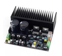 Bosiyrggrl 1 PCS Multifunctional Convenient Practical Portable 2.0 Power Amplifier Board Module As Shown Stereo High Power