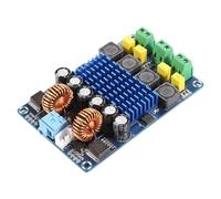 Bosiyrggrl TPA3116D2 Digital Amplifier Board Module XH-M642 Auto Boost Hi-Fi Distortion Free Dual Channel 12V 100W Module