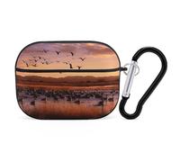 Bosque Del Apache AirPods Pro 2 Case Cover, Shockproof Hard Shell Protective Case for Women Men, Compatible with Airpod Pro Case 2nd/1st Generation with Keychain-Black