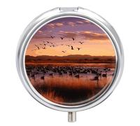Bosque Del Apache Pill Organizer 3 Compartment Travel Pillbox with Mirror Daily Medicine Pill Case Metal Pill Box for Purse & Pocket Portable Small Medicine Box Round Vitamin Case Container