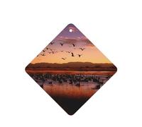 Bosque del Apache Wildlife Refuge Car Air Fresheners Cards 4 Pcs Long Lasting Car Fresheners Gifts for Men Women Auto Aromatherapy Tablets Hanging Scented Card Rearview Mirror Pendant - Lavender Scent