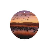 Bosque del Apache Wildlife Refuge Car Air Fresheners Cards 4 Pcs Long Lasting Car Fresheners Gifts for Men Women Auto Aromatherapy Tablets Hanging Scented Card Rearview Mirror Pendant - Lavender Scent