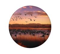Bosque del Apache Wildlife Refuge Custom Pins 5 PCS, Personalized Photo Buttons, Metal Pinback Button Badges for Backpacks, Hats, Funny Backpack Pins Aesthetic Lapel Badge Pins Gifts for Men Women