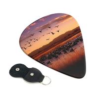 Bosque del Apache Wildlife Refuge Guitar Picks 6 Pcs, 0.46mm Thickness Celluloid Plectrum with Leather Picks Holder, Personalized Guitar Pick for Bass Electric Acoustic Guitars Lovers Gift