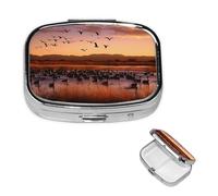 Bosque del Apache Wildlife Refuge Pill Box 2 Compartment Square Portable Pill Case for Pocket or Purse Small Weekly Medicine Planner Travel Pillbox with Mirror Decorative Metal Vitamin Holder Gifts