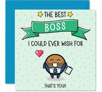 Boss Birthday Card - Best I Could Ever Wish For - Happy Birthday Card for Boss from Employee Colleague, 145mm Cute Bday Greeting Cards