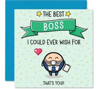 Boss Birthday Card - Best I Could Ever Wish For - Happy Birthday Card for Boss from Employee Colleague, 145mm Cute Bday Greeting Cards