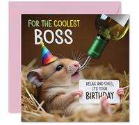 Boss Birthday Card - Ham-somely - Happy Birthday Card for Boss from Employee Colleague, 145mm Hamster Bday Greeting Cards
