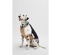 BOSS Dog bomber jacket with embroidered logo - Style Dog Varsity Bomber, B4SDAJ001 Beige XS