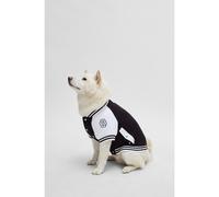 BOSS Dog bomber jacket with embroidered logo - Style Dog Varsity Bomber, B4SDAJ001 Black XXS